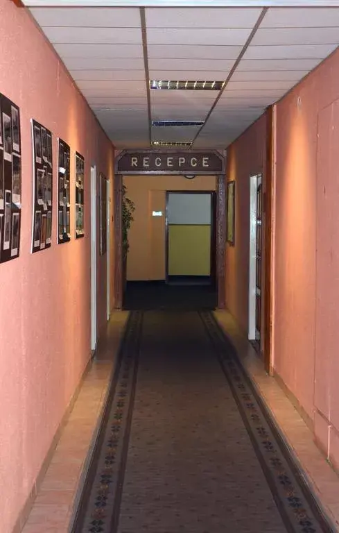 Photo 3 of Hotel Gejzír